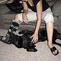 DSC00779