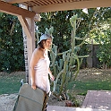 DSC00806
