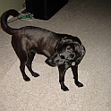 DSC00818