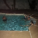DSC00896