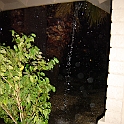 DSC00944