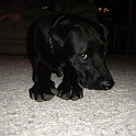 DSC00990