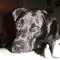 DSC00993