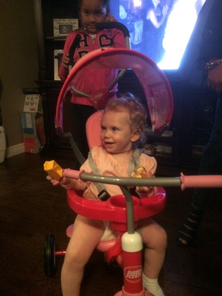 IMG 0211