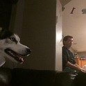 IMG 0181